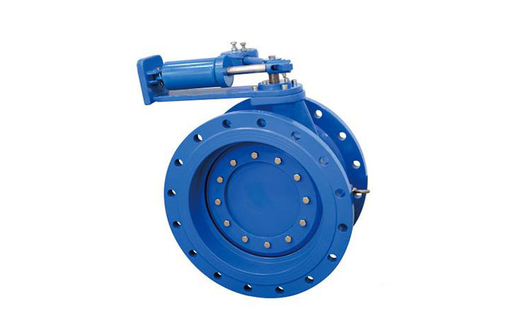 蝶式止回閥 蝶式止回閥