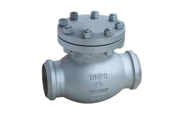 低溫止回閥 低溫止回閥